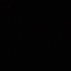 Meet your Posher, Allie